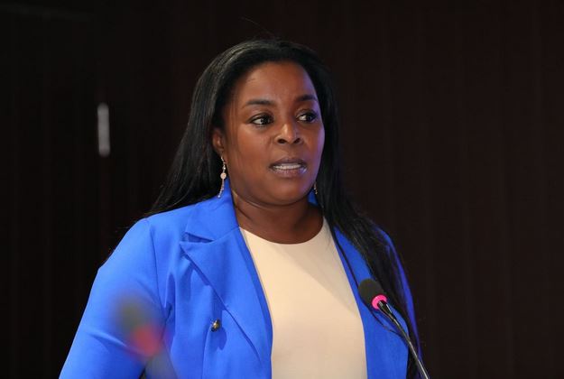 Diputada Millys Martínez