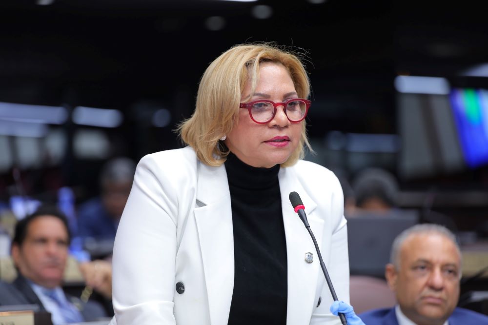 Diputada Soraya Suarez