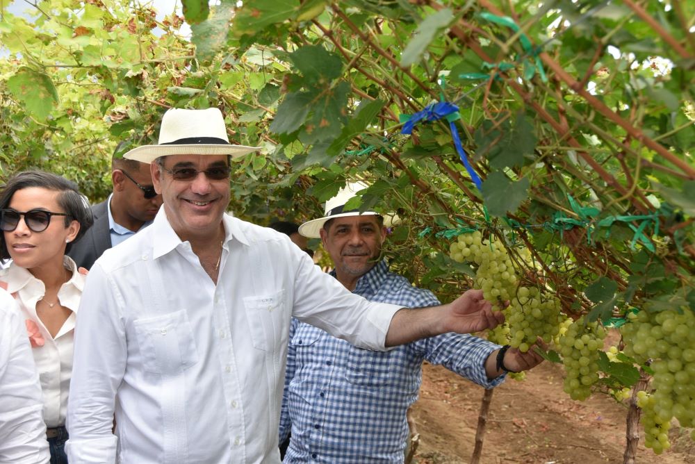 República Dominicana comienza exportación de primeros tres contenedores de uvas de mesa hacia EE. UU.