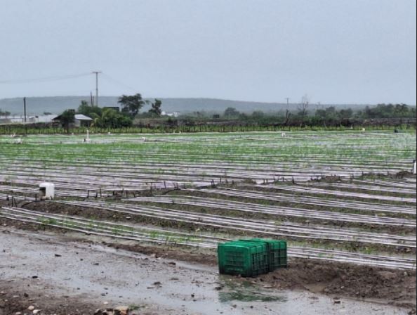 Valle de San Juan y tormenta Melessa