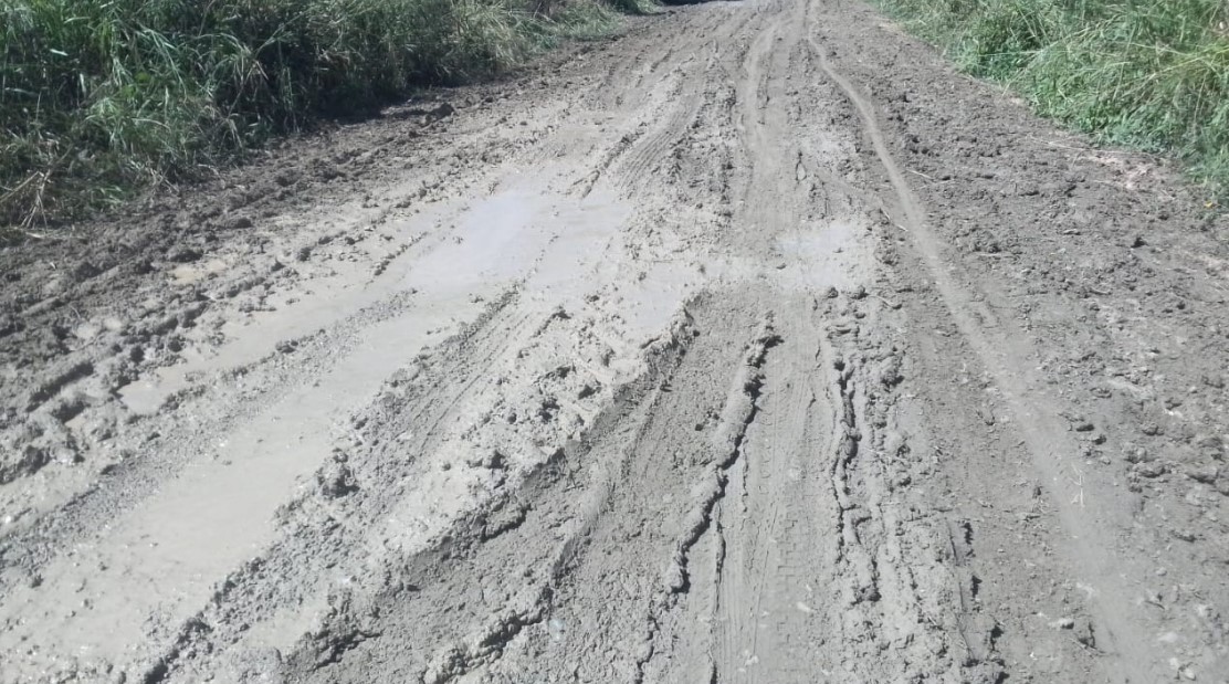 Muestra de como esta el camino que conduce a la escuela La Garita en Hato del Padre San Juan de la Maguana