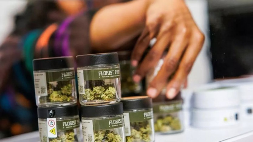 Ventas de marihuana en NY rompre records .