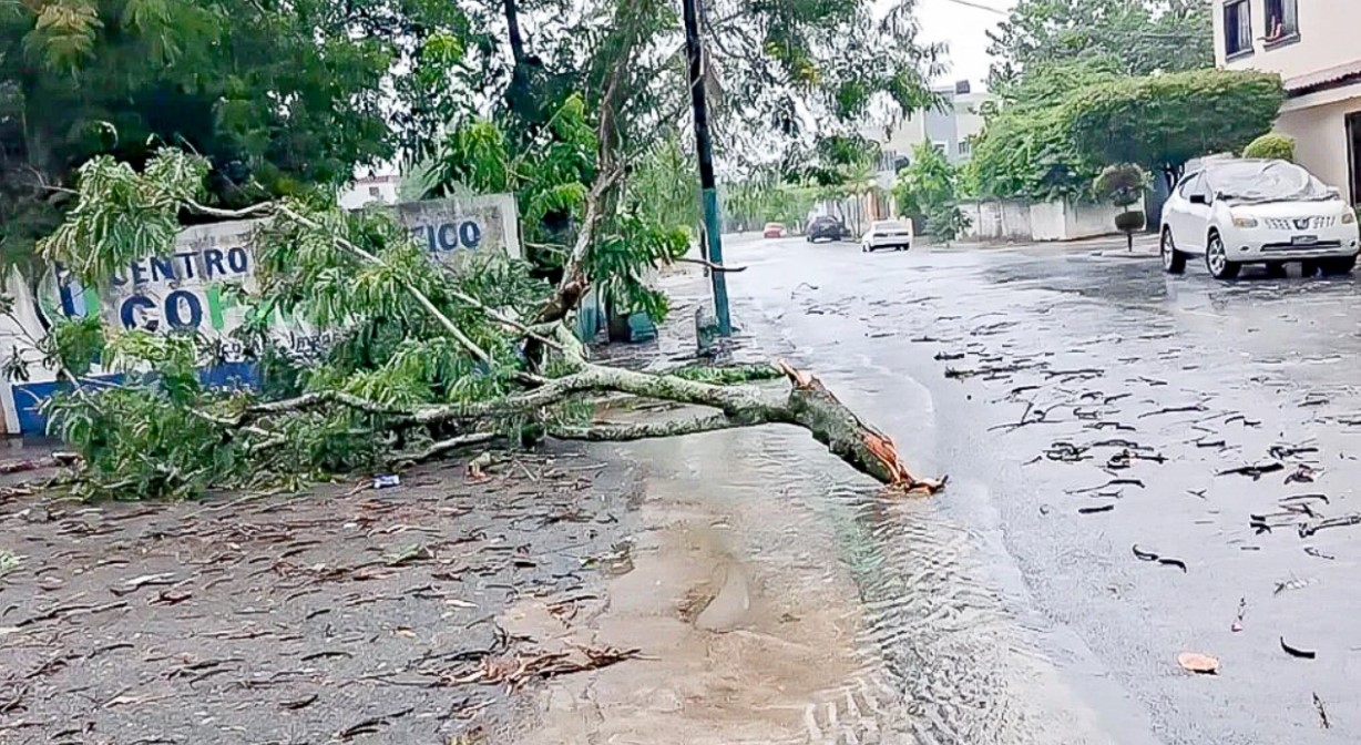 Daños causados en la provincia este lunes