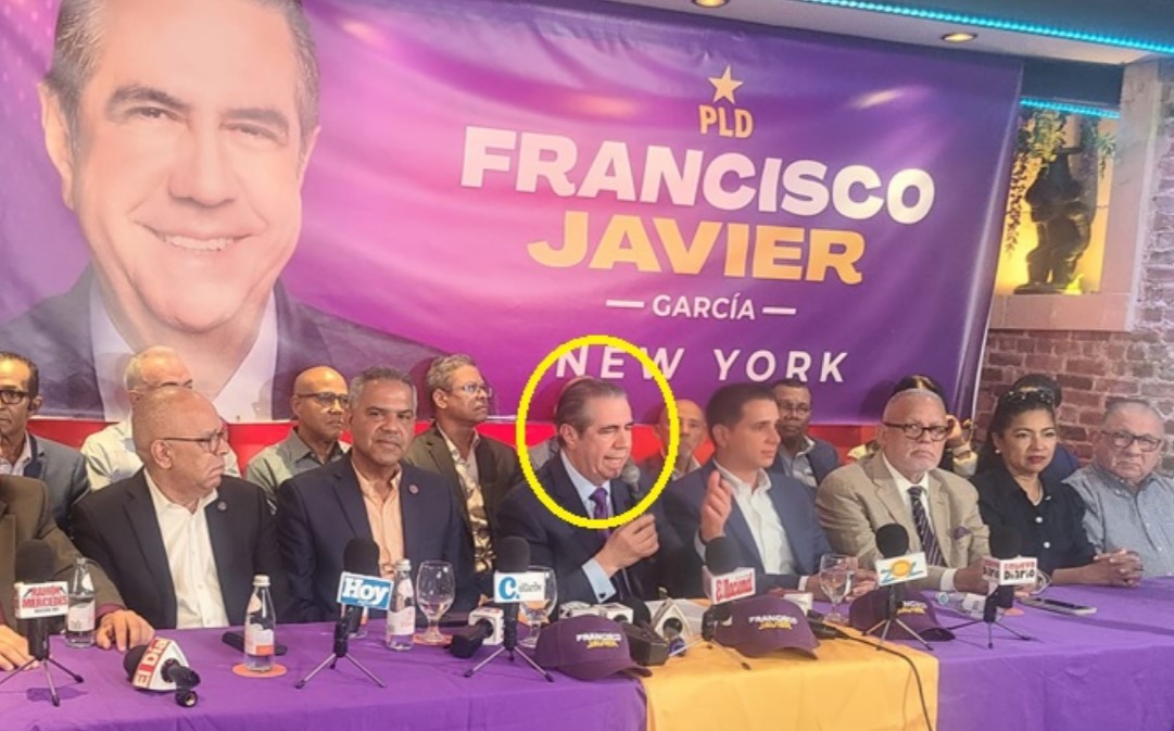 Francisco Javier García, precandidato del PLD