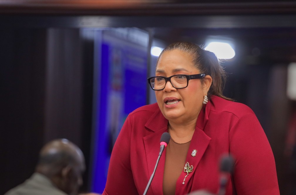 Diputada Juana Castillo