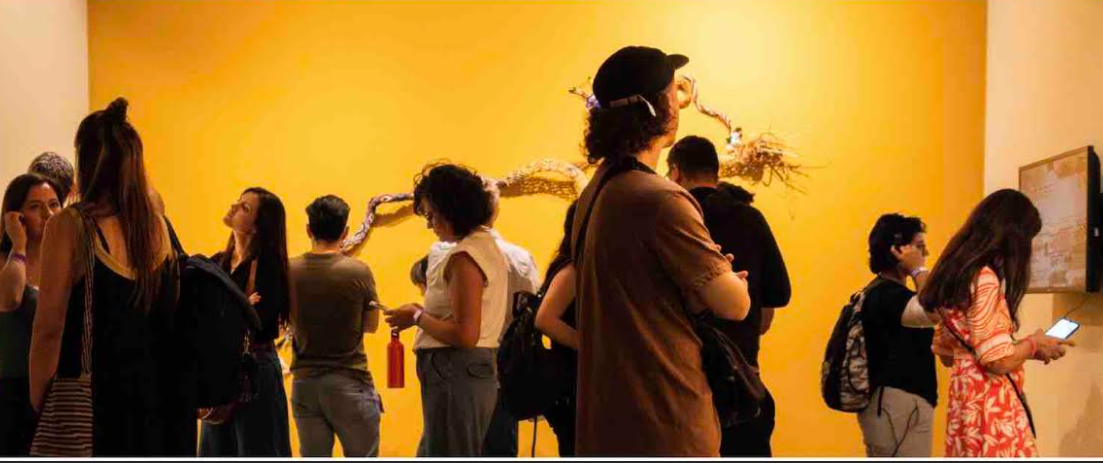 Fundación SURA anuncia los 10 proyectos seleccionados de Cultura Latinoamérica 2026–2027