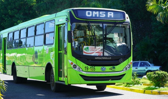 Contrataciones Públicas investiga y suspende licitación de OMSA para compra de autobuses por presuntas irregularidades
