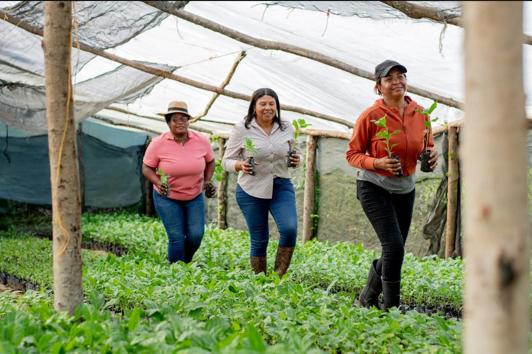 Proyecto dominicano de agricultura ecológica gana Donativos Ambientales FORD 2026
